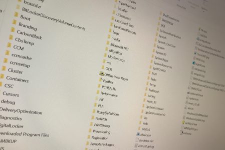 Downloads